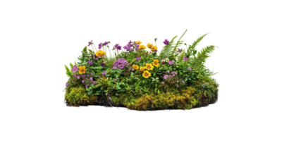 Flower bed with mixed blooming plants isolated on transparent background png