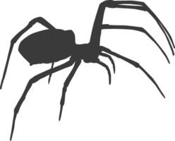 Spider illustration in black vector