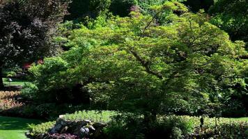 Beautiful summer view of Sunken Garden at Butchart Gardens on Vancouver Island, British Columbia, Canada, in horizontal format video