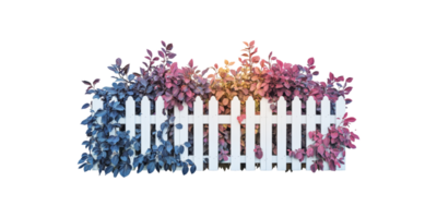 Colorful plants behind a white picket fence isolated on transparent background png