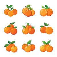Oraganic oranges fruit set vector