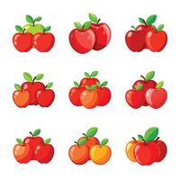 Apple fruit set isolated on white vector
