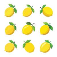 Lemon set isolated on white vector