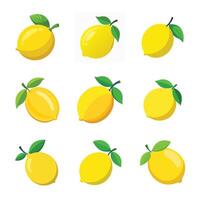 Elegant composition of set of lemons on a white surface vector