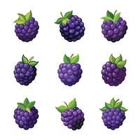 Elegant composition of grape set of on a white surface vector