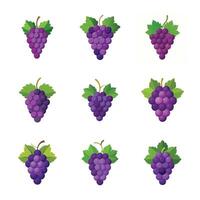 Grape fruit set vector
