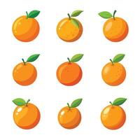Elegant composition of set of orange on a white surface vector