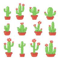 Collection of cartoon cacti in terracotta pots with red flowers. Cactus set a unique shape, small spines, and a vibrant green color, set against a white background. vector