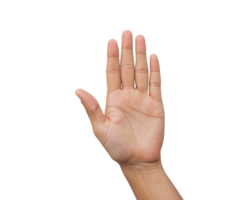 open palm symbolizing openness honesty or stop gesture Transparent Background, Generated with AI png