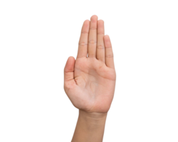 close up of open palm gesture Transparent Background, Generated with AI png