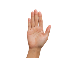 open palm gesture for stop or honesty Transparent Background, Generated with AI png