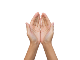 Pair of Caucasian Hands Against a Transparent Background, Generated with AI png