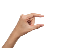 hand holding a small amount of something Transparent Background, Generated with AI png