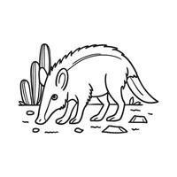 A javelina sniffing the ground in a desert landscape near a scattered pile of desert debris vector