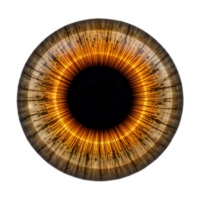 Macro View of Emerald Green Human Iris with Intricate Patterns on Transparent Background png
