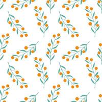 Mandarines pattern, tangerine clementine with leaves stylized drawing, pattern on white background. vector