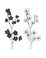 Branch set of blooming cherry in doodle sketch style, contour hand drawing, isolated on white background. Spring sakura. vector