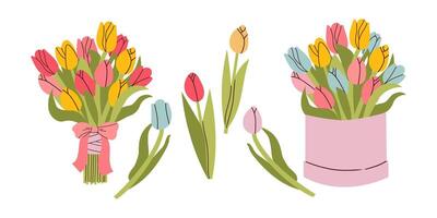 Tulip. Bouquet of colorful tulips. Spring Summer. The stems are broad leaved. White background. Used for collages and stickers in web design, for cards and congratulations. vector