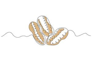Continuous single-line art drawing of peanuts. Peanut food outline isolated on white background vector