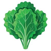 Fresh Kale Art, , Icon and Graphic, Flat Vegetables Illustration Design On White Background vector