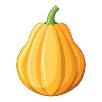 Fresh Squash Art, , Icon and Graphic, Flat Vegetables Illustration Design On White Background vector