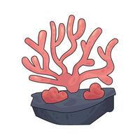 Coral Reefs illustration vector