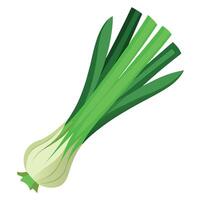 Fresh Leek Art, , Icon and Graphic, Flat Vegetables Illustration Design On White Background vector
