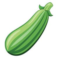 Fresh Zucchini Art, , Icon and Graphic, Flat Vegetables Illustration Design On White Background vector