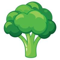 Fresh Broccoli Art, , Icon and Graphic, Flat Vegetables Illustration Design On White Background vector
