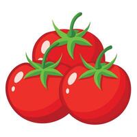 Fresh Tomato Art, , Icon and Graphic, Flat Vegetables Illustration Design On White Background vector