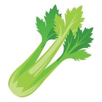 Fresh Celery Art, , Icon and Graphic, Flat Vegetables Illustration Design On White Background vector