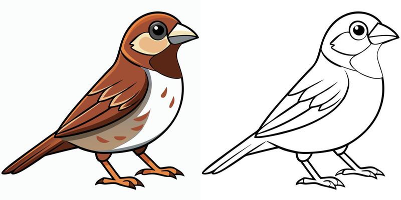 Cute Sparrow Cartoon Coloring Page For Kids