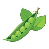 Fresh Peas Art, , Icon and Graphic, Flat Vegetables Illustration Design On White Background vector