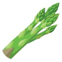 Fresh Asparagus Art, , Icon and Graphic, Flat Vegetables Illustration Design On White Background vector