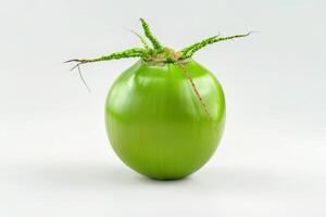 A green coconut with a plant growing out of it photo