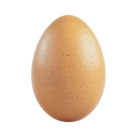 Egg on a transparent background png
