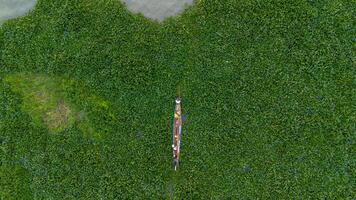 An aerial view of a boat in the middle of a green field photo