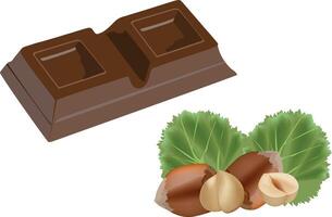 Chocolate and hazelnuts vector
