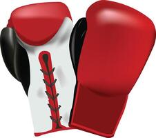 Two boxing gloves on a white background vector