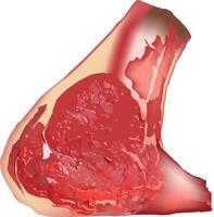 A close up of a meat that has been cut vector