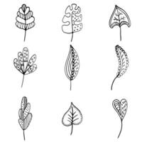 Hand-Drawn Intricate Leaf Designs Set on White Background - Artistic Collection of Botanical Patterns for Prints and Creativity vector