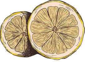 Illustration of lemon slices retro style vector