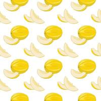 Pattern with the image of a whole melon and pieces vector