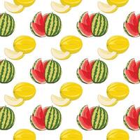Melon and watermelon pattern pieces and whole fruits vector