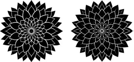 two black and white flowers with a white background vector