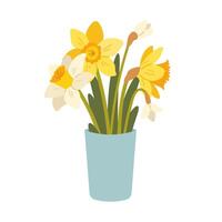 Bouquet of spring daffodils in vase. Spring flower narcissus. isolated icon vector
