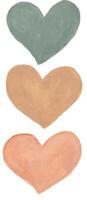 three heart shapes in different colors watercolor vector