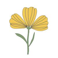 A yellow flower with green leaves on a white background vector