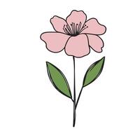 A pink flower with leaves on a white background vector