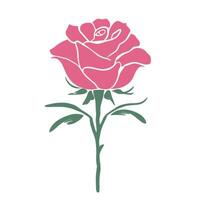 A pink rose is shown on a white background vector